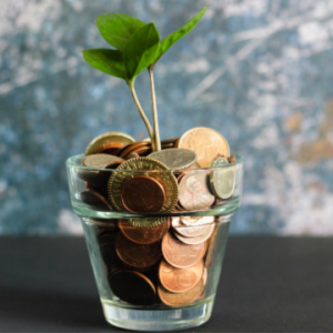 glass with coins and plant